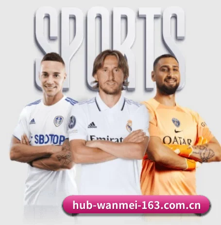 完美体育 APP - WANMEI SPORTS